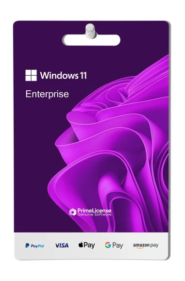 Windows 11 Enterprise Edition - 1 Purchase