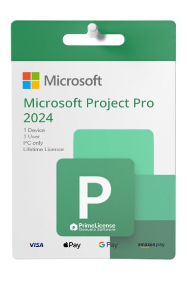 Microsoft Project Pro 2024 BIND