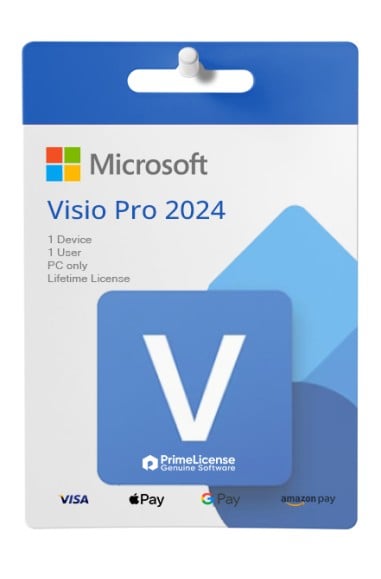 Microsoft Visio Professional 2024 BIND