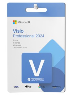 Microsoft Visio Professional 2024 BIND