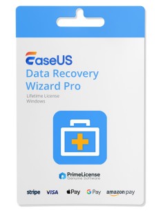 EaseUS Data Recovery Wizard 18 Pro Lizenz